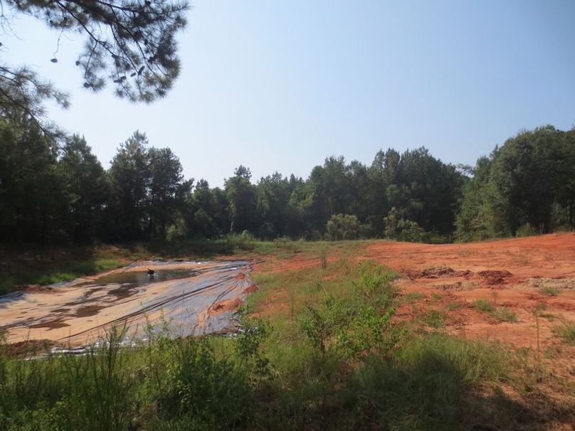 FFAECF23-1B9C-4875-864C-C106528F0BB6_1_105_c