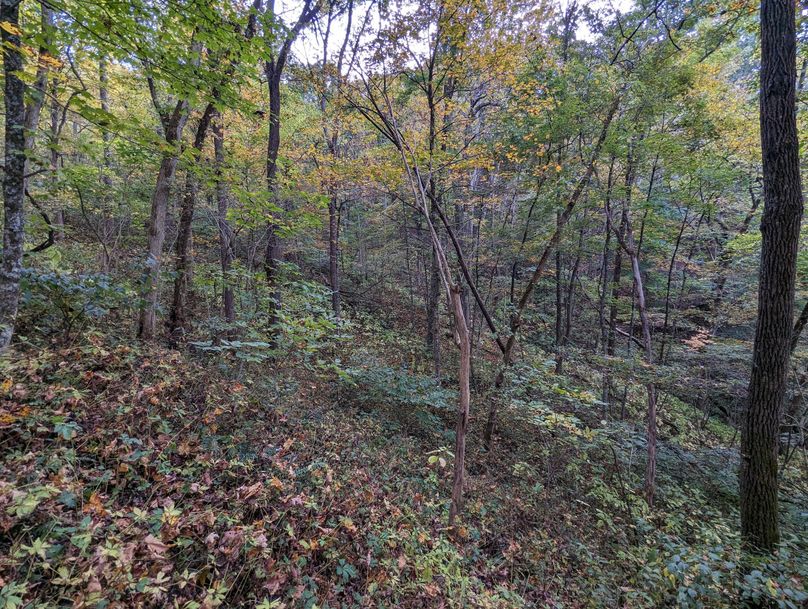 PXL_20231004_193230471