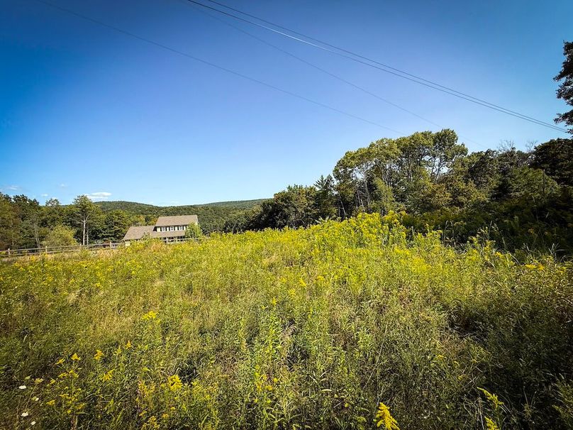 Tioga NY 86.705 Capwell Photos 33