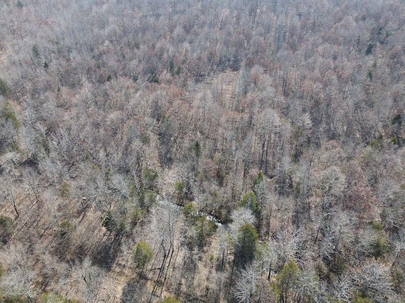 dji_fly_20250213_142614_16_1739478382991_photo