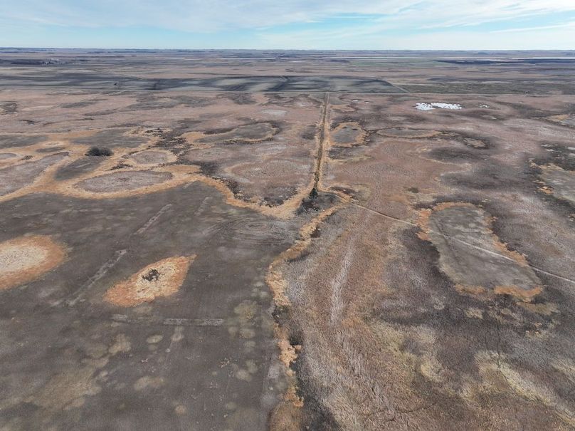 DJI_20241118113229_0325_D