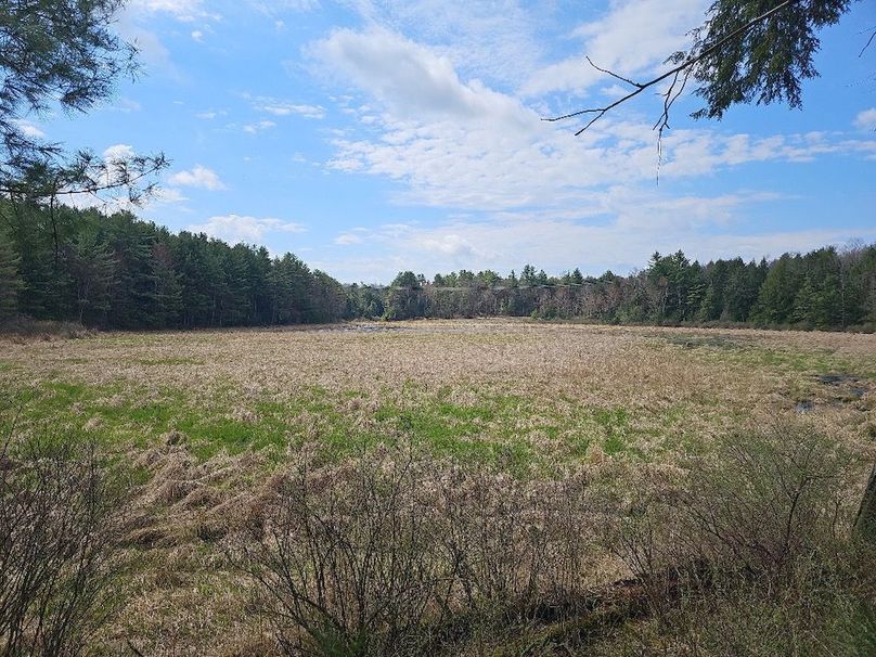 photo_1f80c375-2e50-43ba-9312-f7c9a2941a13