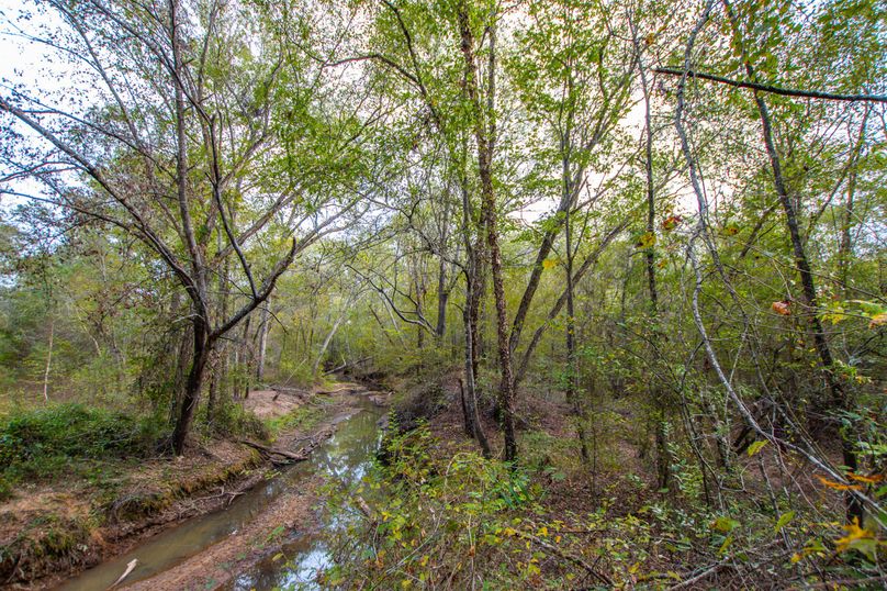 15 Upshur Co 603 ac Weise