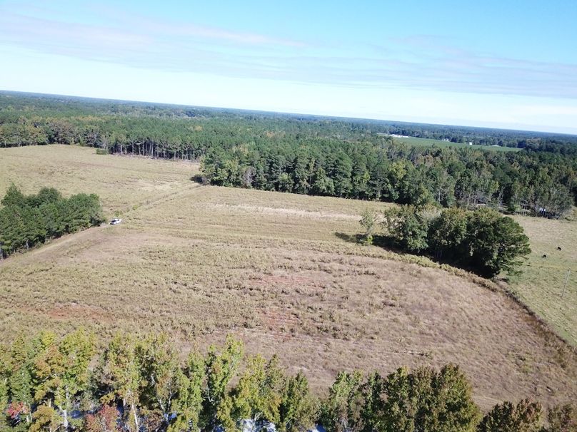 Copy of DJI_0002