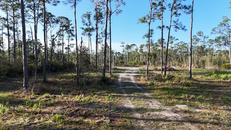 DJI_20260402084434_0415_D