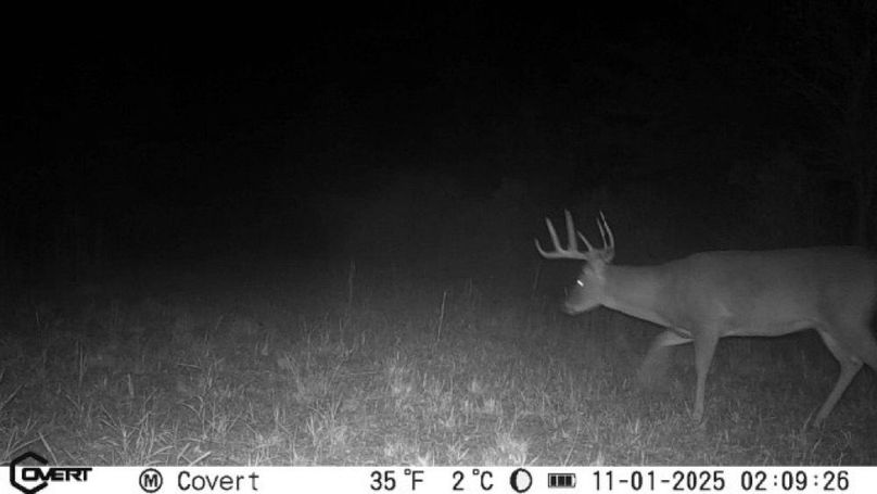 11_01_2025_02_09_26_3232102823