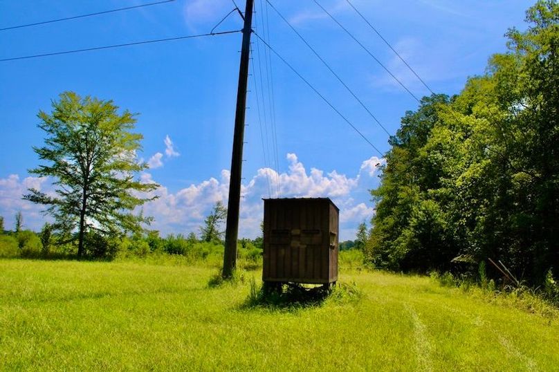 CE41C573-C646-49AE-B926-28FC643B1A49_1_105_c