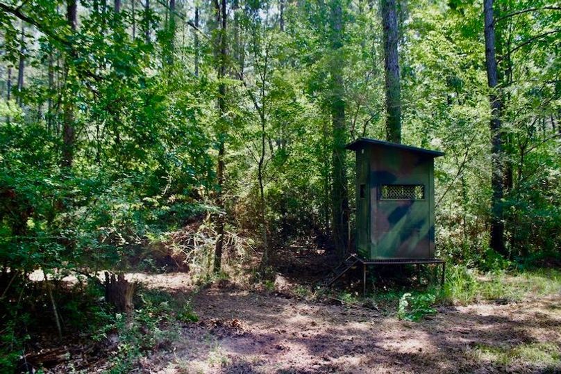 9F83272D-E826-4A5A-842E-142EF620AB0A_1_105_c