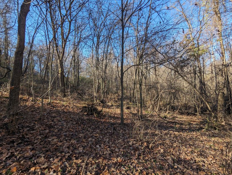 PXL_20231103_153135292