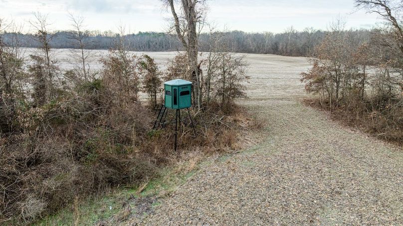 DJI_20260212074235_0005_D