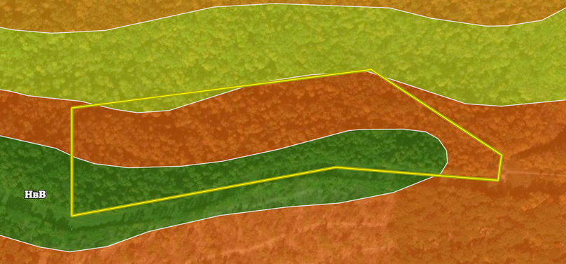 Screen Shot 2023-04-25 at 11.55.48 AM