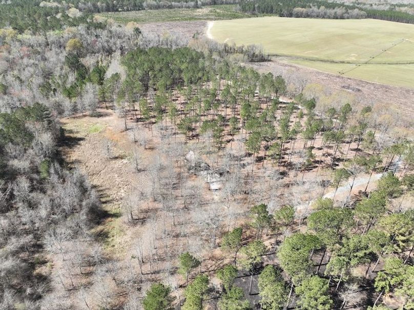 dji_fly_20240307_121148_155_1709831735378_photo