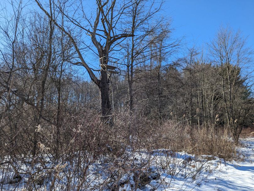 PXL_20230202_170551369