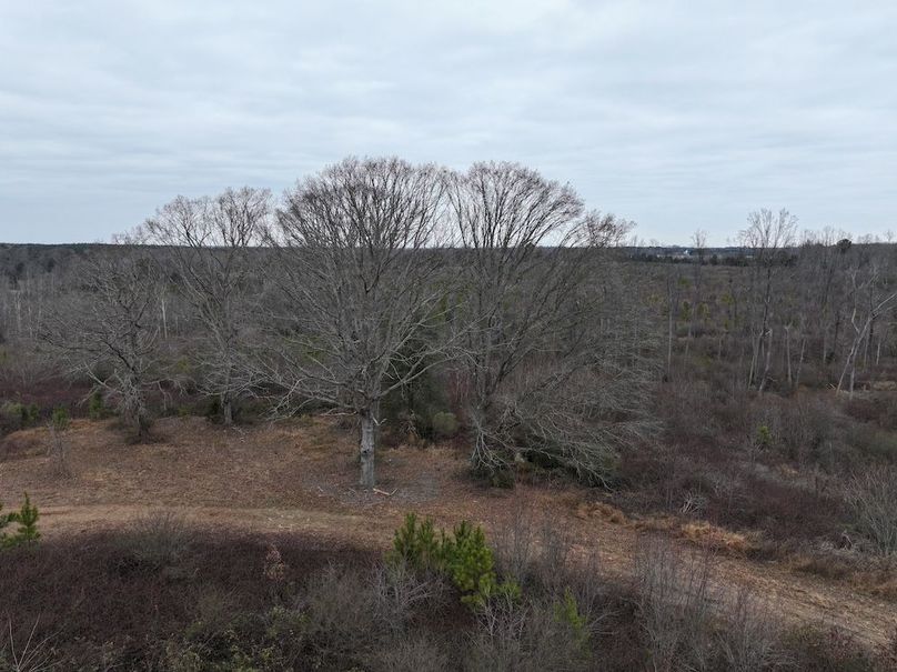 Copy of dji_fly_20251224_114408_0242_1767705648743_photo