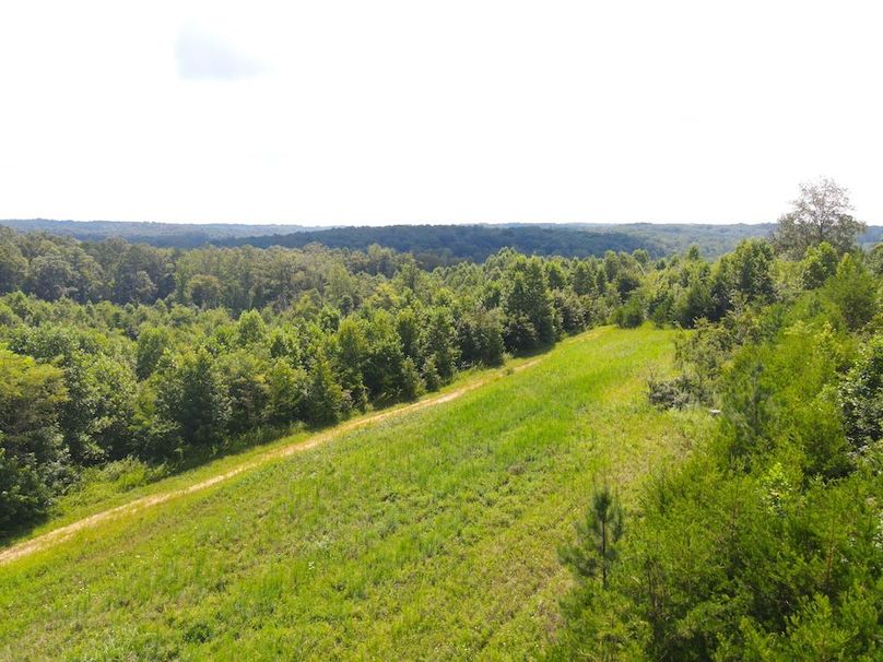 dji_fly_20250729_113012_820_1753803045796_photo