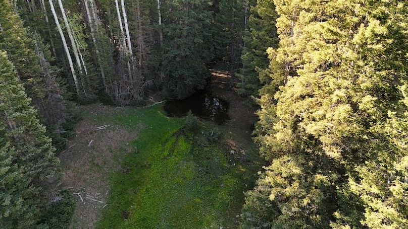 DJI_20250614082024_0149_D