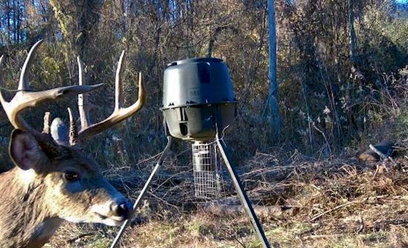 IMG_20250425_095008 (2)