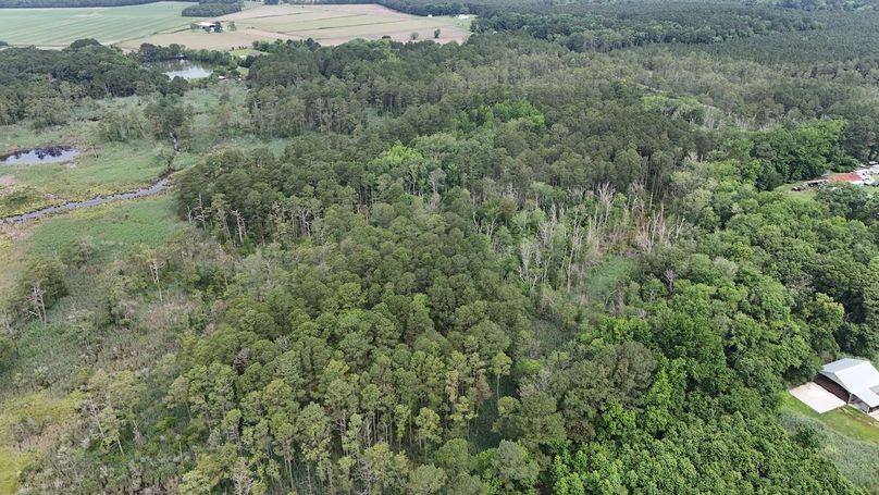 K_IMG4_58AC_dji_fly_20250613_102546_0007_1749852323078_photo