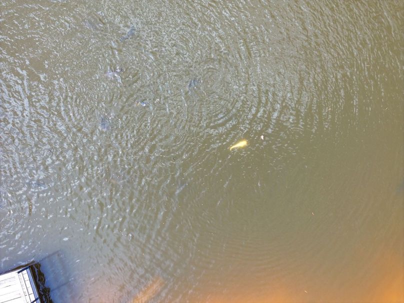 DJI_20250915125702_0645_D