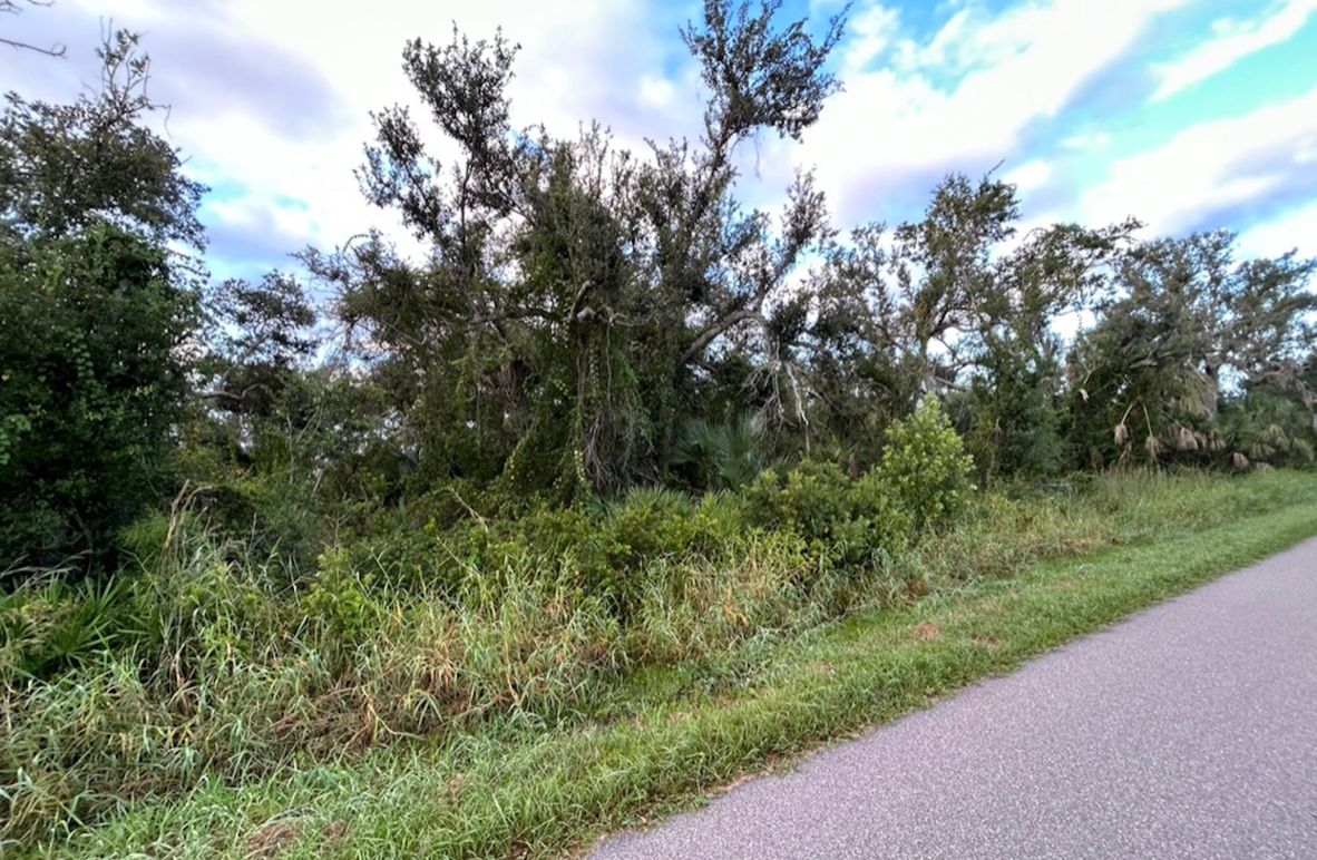 6B132867-9CF2-443D-9B69-C504EC76915D_1_105_c