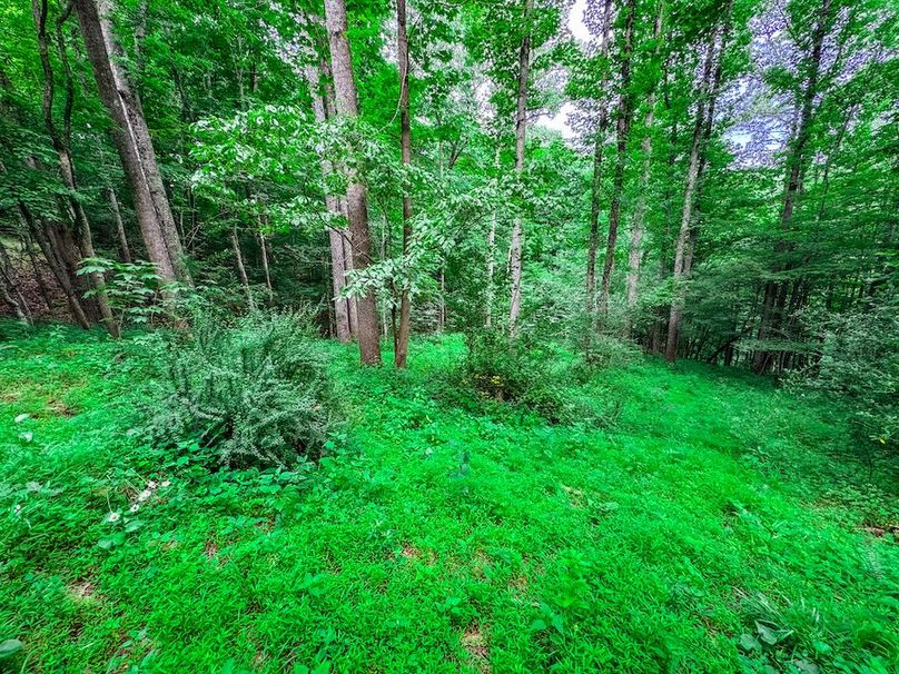 Doddridge, WV 15.68 AC Bonnett-69