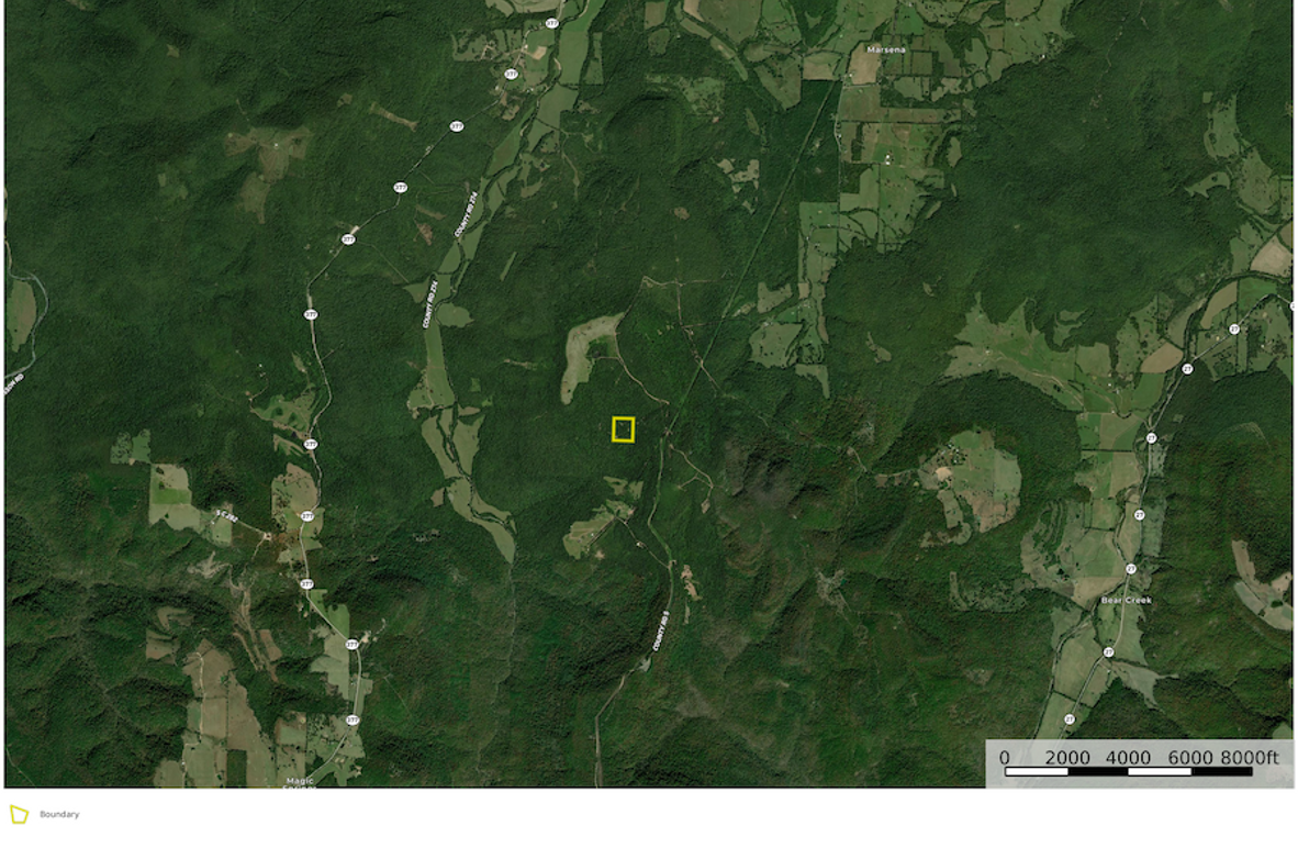 HarrisTyler East Google Far