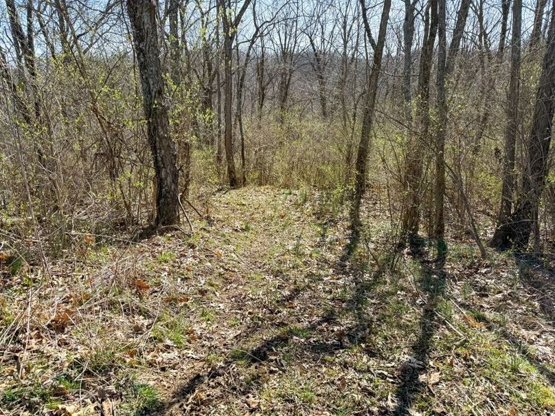 Fleming Petry 120-056