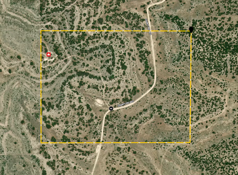 Screen Shot 2024-02-23 at 12.15.55 PM