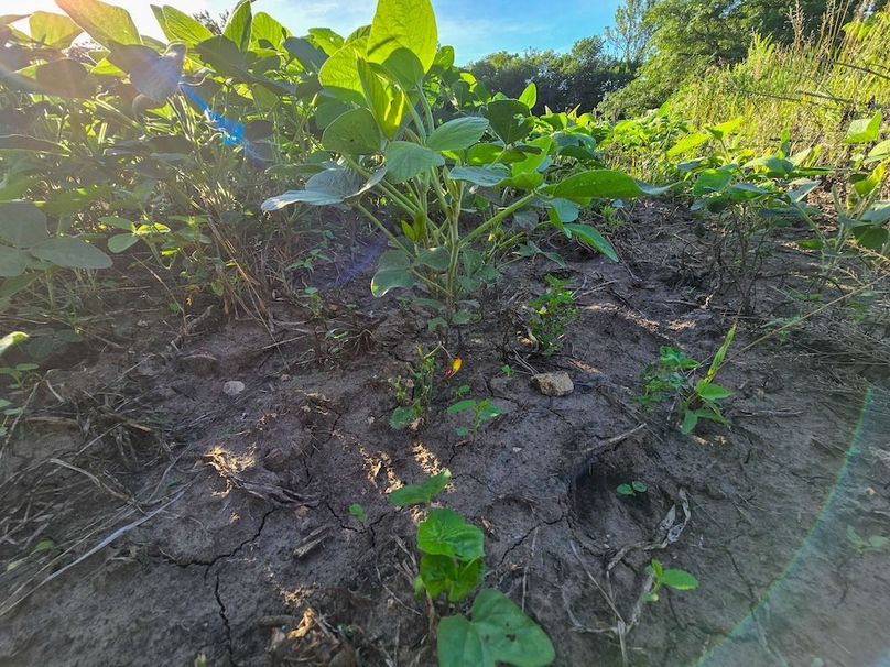 Copy of 20250729_081018