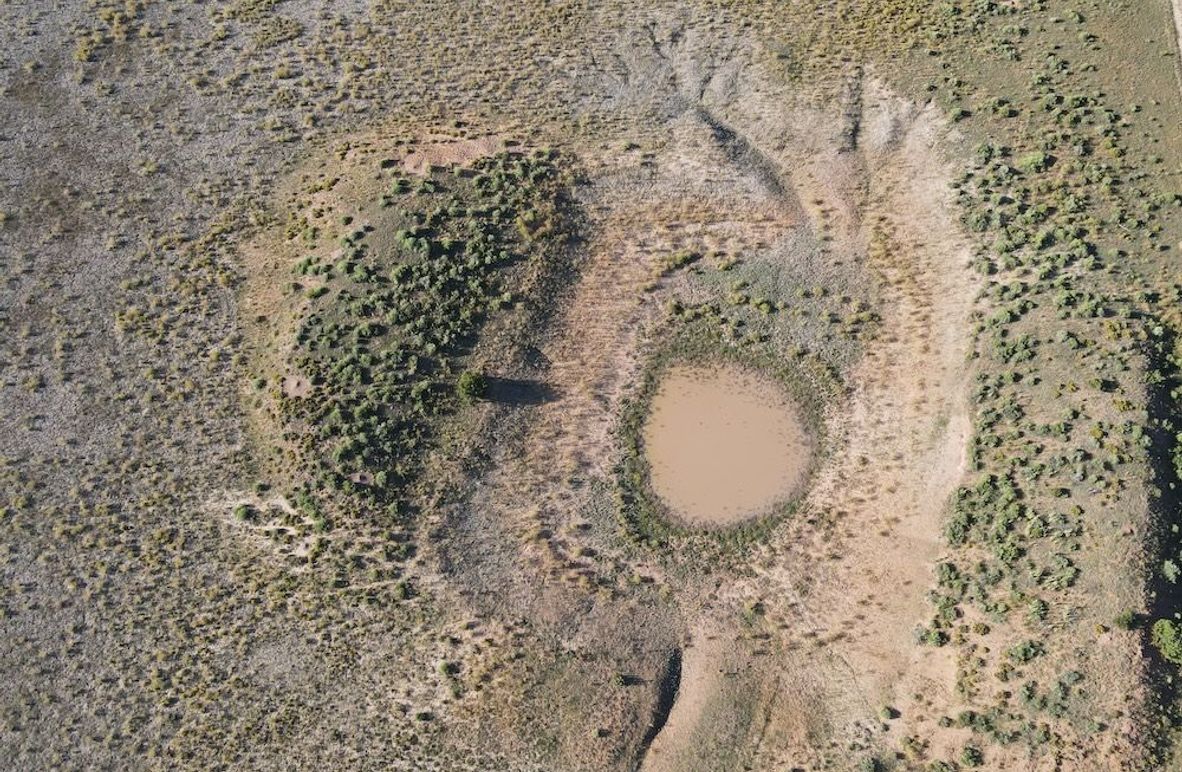 dji_fly_20240816_082320_548_1723818221683_photo