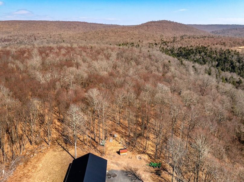 69-web-or-mls-IMG-69