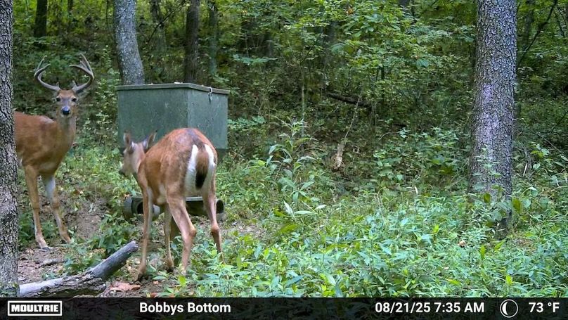 Fleming Petry 115-63