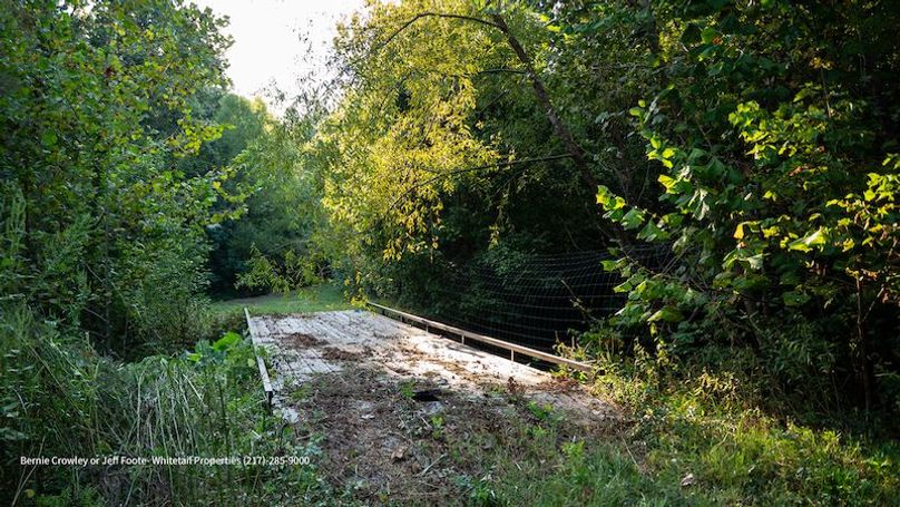 Tallahatchie 847 Messina-30