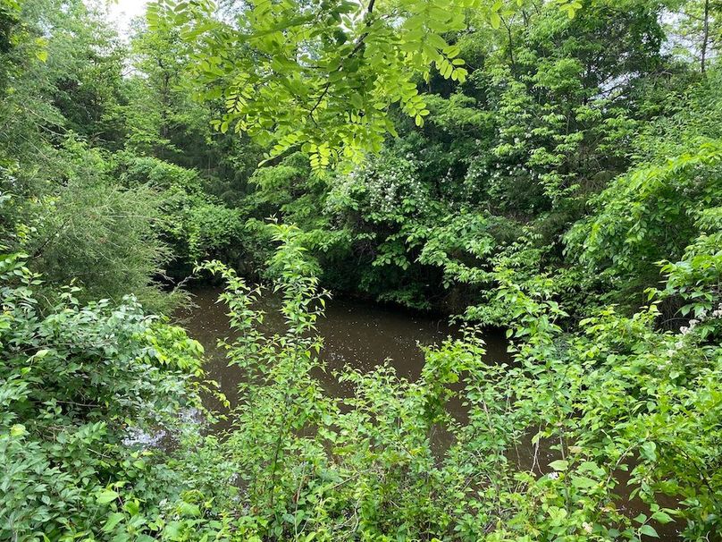 022 the secluded pond that provides water on the ridge just down the point from the hunting blind copy