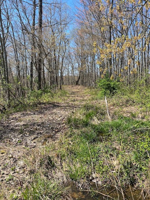 Carter Gordon 70 +_- 020