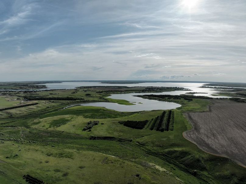 DJI_0568
