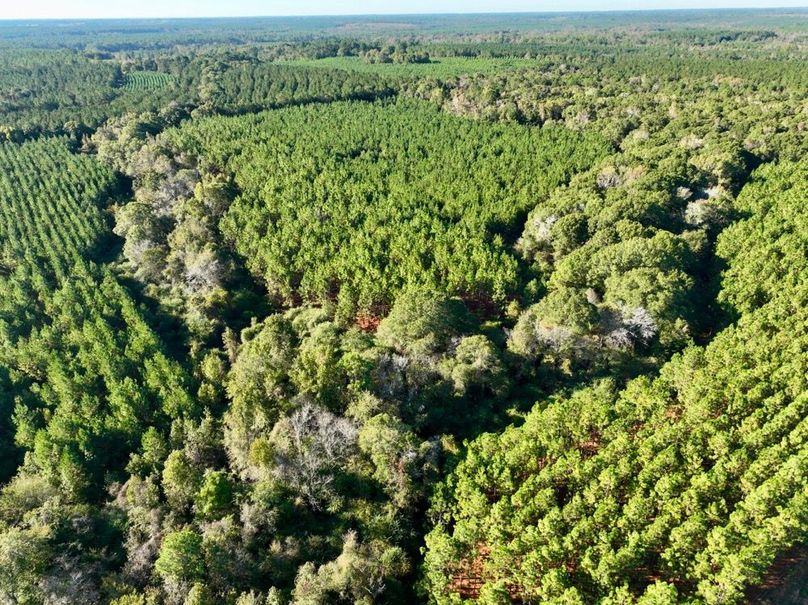 dji_fly_20251031_100546_978_1761919970447_photo