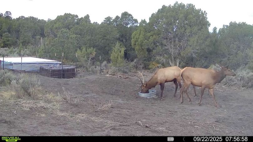 016578004060205-100-3-09222025075658-V-SYFW00237