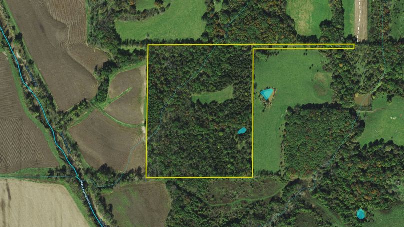 Davis 33 Aerial