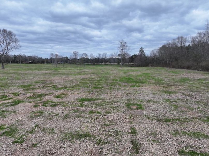 Copy of dji_fly_20260217_144022_0164_1771436900187_photo