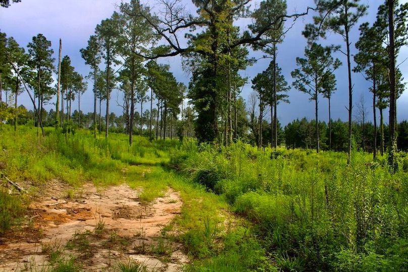 22889B7D-6934-4CA6-A78C-5CFF45500AAE_1_105_c