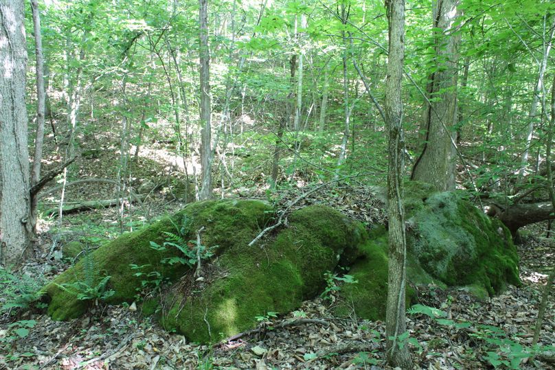 010 one of the many large scattered boulders scattered in the lower elevations