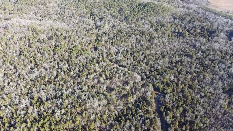 2024-02-06-09-05-14-594