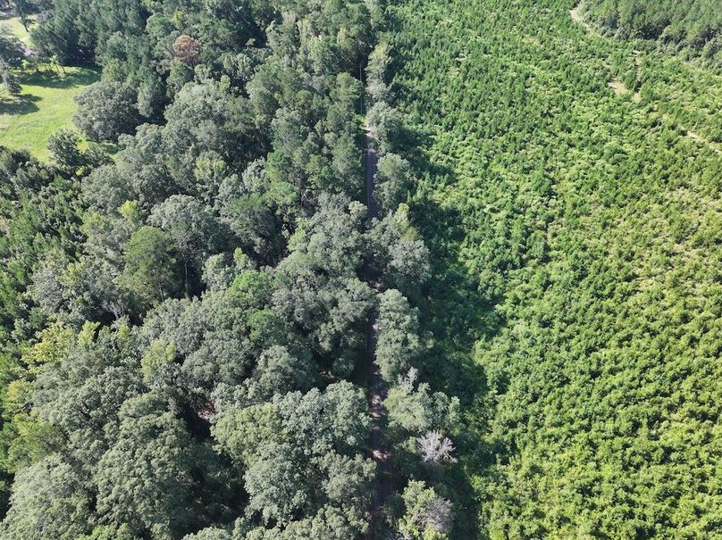 dji_fly_20250903_101330_0389_1757089045685_photo