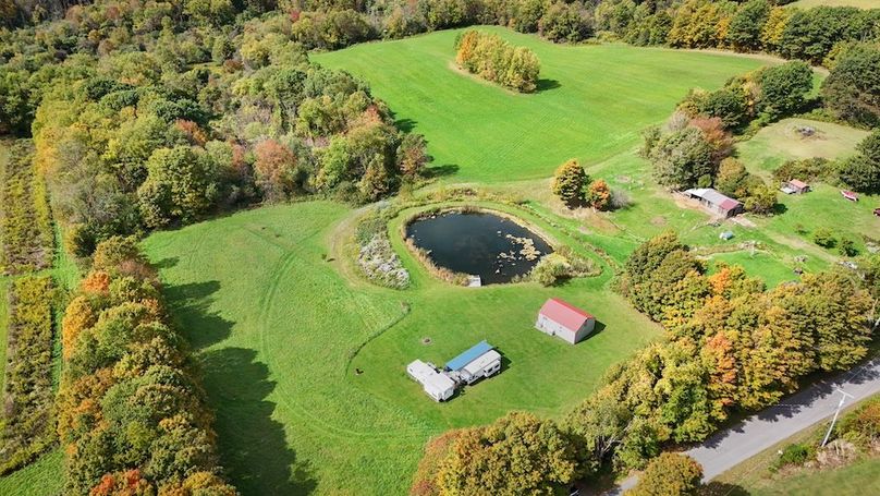 Cayuga_55.02_Herman Photo 3