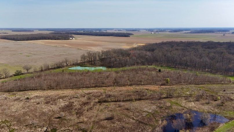 dji_fly_20260325_110756_0708_1774471960646_photo