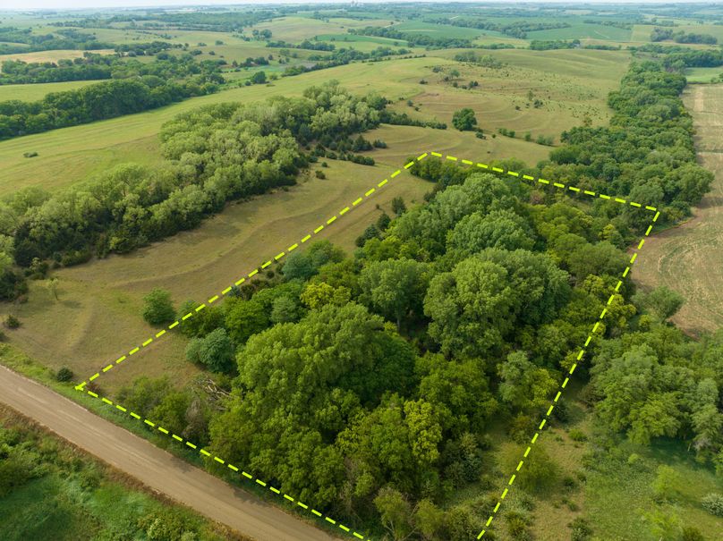 20230616-DJI_0376-overlay