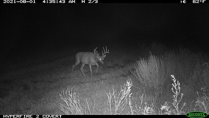 Copy of B395E9BE-E443-48EF-ADEF-434B0E2E96F2