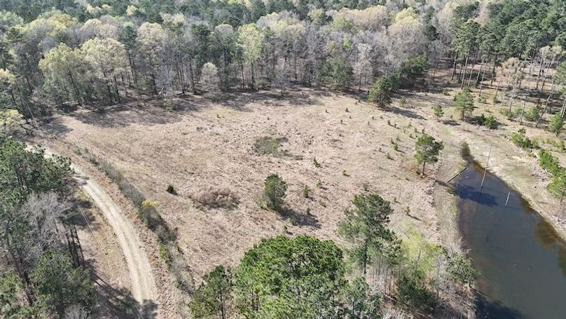 dji_fly_20260305_050204_0080_1772672666056_photo