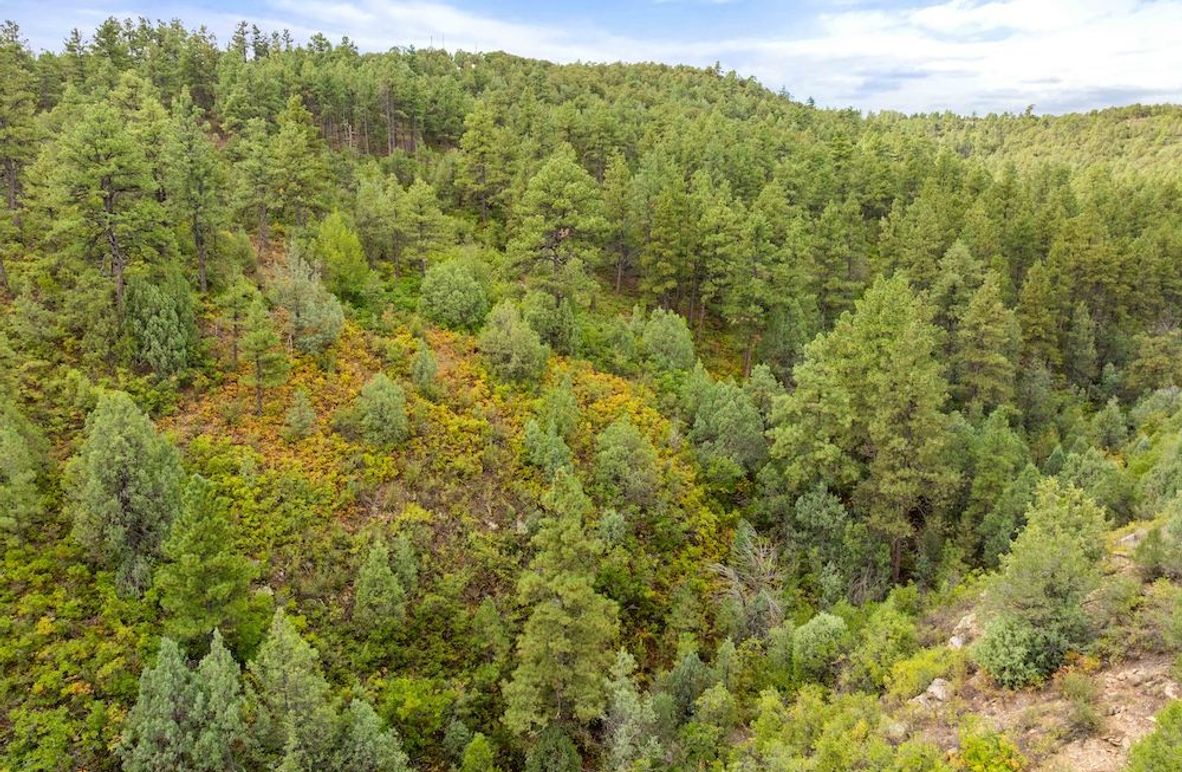 DJI_20250924102541_0018_D